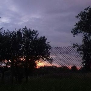 Meet your Posher, Mia